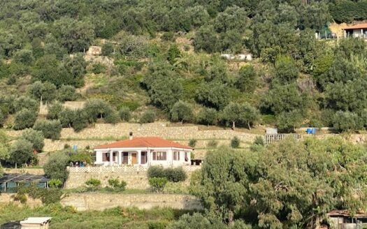 Villa Panoramica con Ampio Terreno – Taggia, Regione Sorini