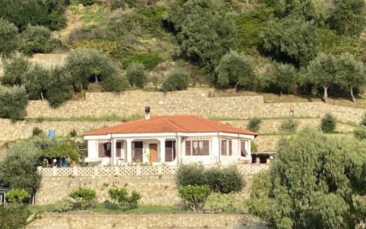 Villa Panoramica con Ampio Terreno – Taggia, Regione Sorini