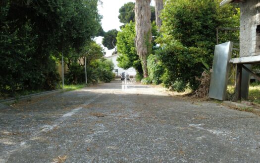 ARMA DI TAGGIA – INTERESSANTE PROPRIETÀ CON TRE CASE INDIPENDENTI E TERRENO PRIVATO