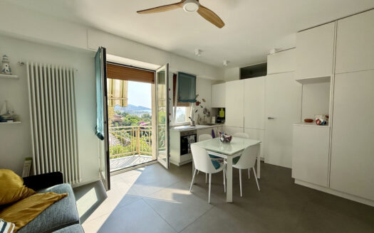 ARMA DI TAGGIA – AMPIO MONOLOCALE CON BALCONE VISTA MARE
