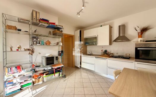 🏡 Arma di Taggia – Bilocale con Giardino, Box Auto e Cantina 🌿